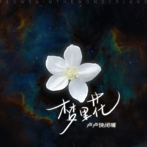 喜欢被双洞齐开
