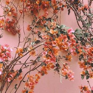 喜欢被双洞齐开
